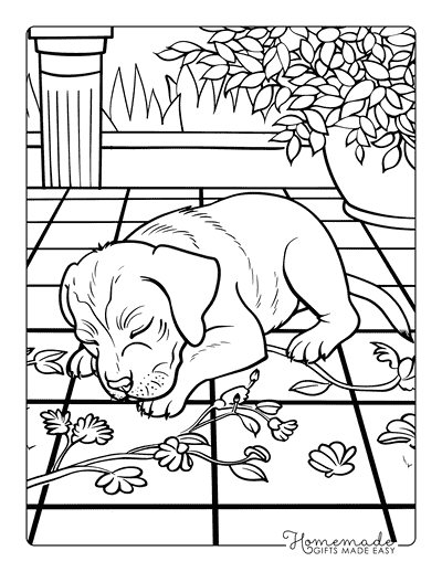 Puppy Coloring Pages Rhodesian Ridgeback Napping on Porch