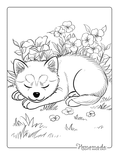 Puppy Coloring Pages Shiba Inu Napping