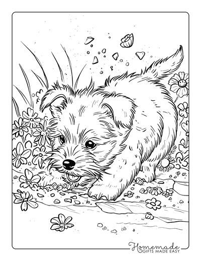 Puppy Coloring Pages West Highland White Terrier Digging Garden