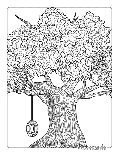 Tree Coloring Pages Realistic Oak Tree Tire Swing Simple Zentangle
