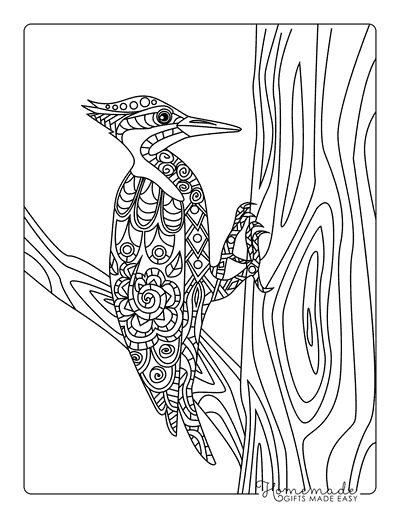 Tree Coloring Pages Simple Realistic Tree Trunk Woodpecker Zentangle