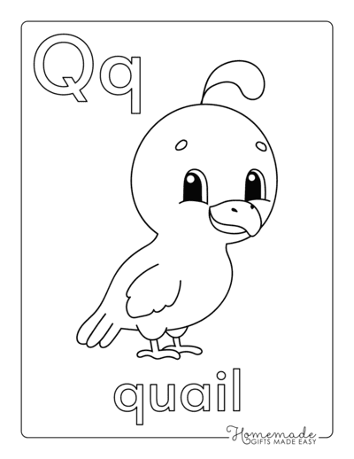 Alphabet Coloring Pages Letter Q Quail