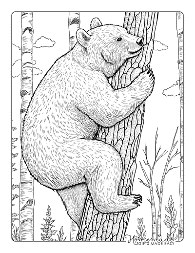 Bear Coloring Pages Realistic Black Bear Climbing Tree