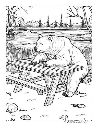 Bear Coloring Pages Realistic Black Bear Sitting at Picnic Table