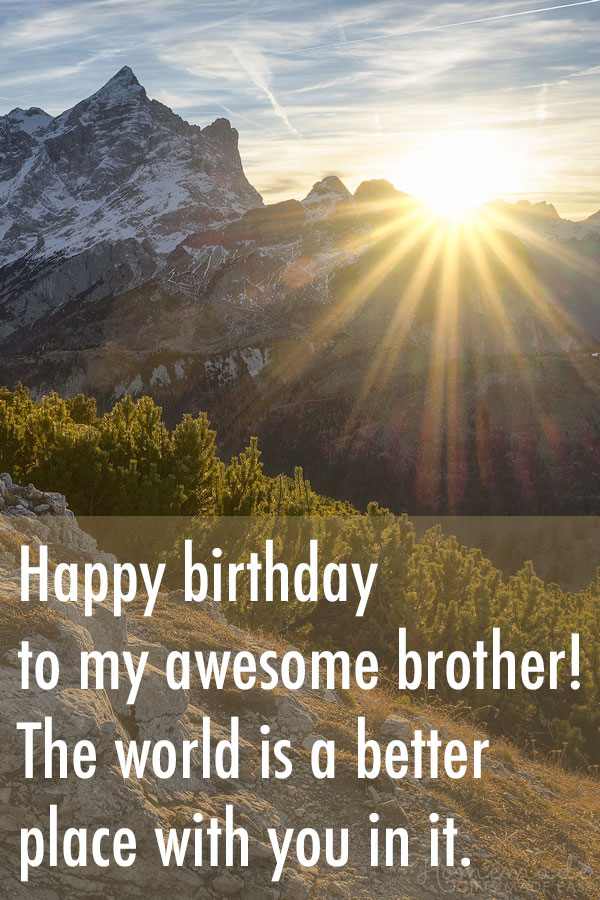 Traditore Tovagliolo Eccetera Short Birthday Wishes For Brother 