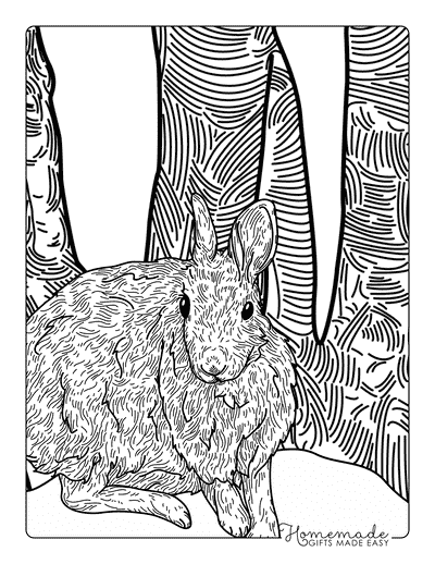 Bunny Coloring Pages Realistic Rabbit in Forest for Adults