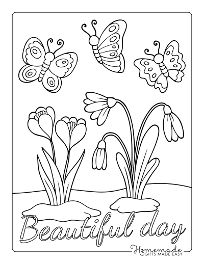 butterfly and flower coloring pages