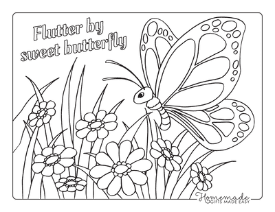 flowers and butterflies coloring pages  printable
