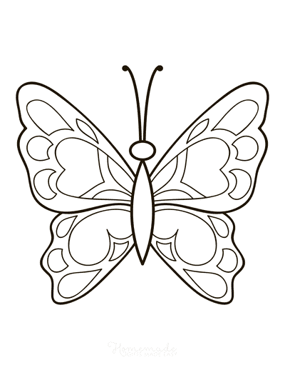 butterfly wing drawing color
