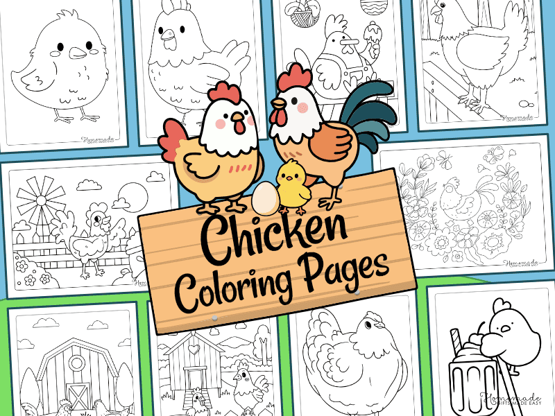 Chicken Coloring Pages