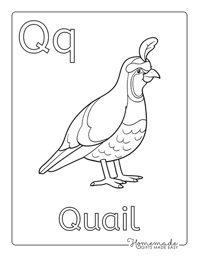 Coloring Sheets for Kindergartners Alphabet Q Quail