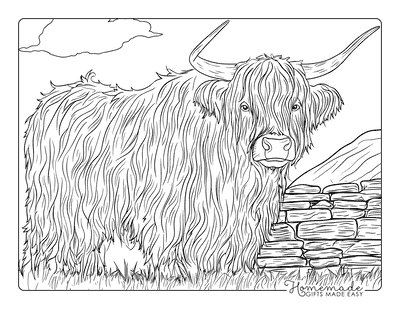 Cow Coloring Pages Semi Realistic Highland Cow Stone Wall