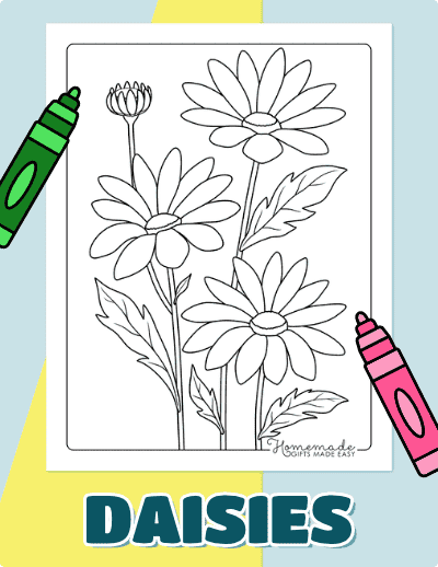 Daisy Coloring Pages