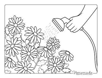 Daisy Coloring Pages Cute Easy Watering Daisies