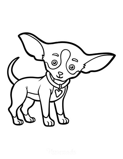 Chihuahua Dog Adult Coloring Page