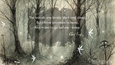 Fairycore Aesthetic Wallpaper Robert Frost Quote