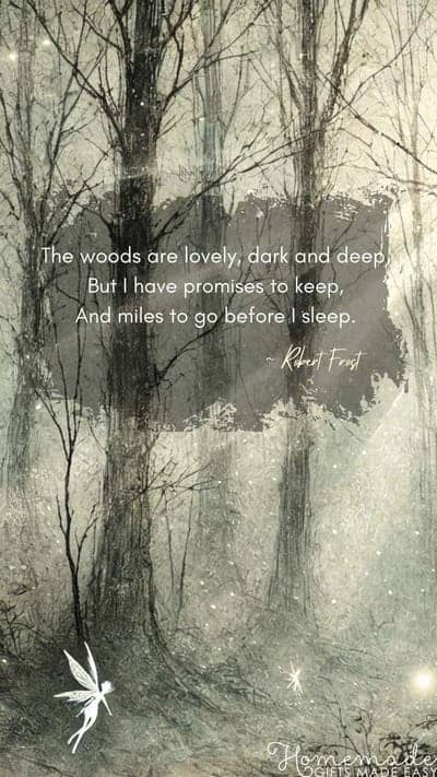 Fairycore Aesthetic Wallpaper Robert Frost Quote