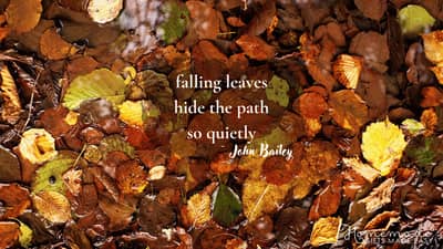 Fall Aesthetic Wallpaper John Bailey Quote