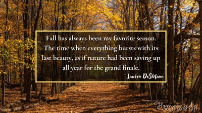 Fall Aesthetic Wallpaper Lauren Destefano Quote