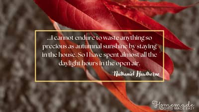 Fall Aesthetic Wallpaper Nathaniel Hawthorne Quote