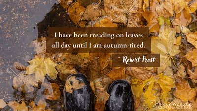 Fall Aesthetic Wallpaper Robert Frost Quote