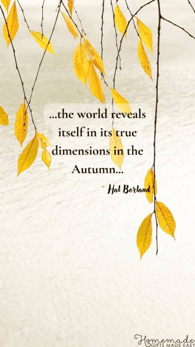 Fall Aesthetic Wallpaper Hal Borland Quote