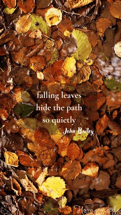 Fall Aesthetic Wallpaper John Bailey Quote