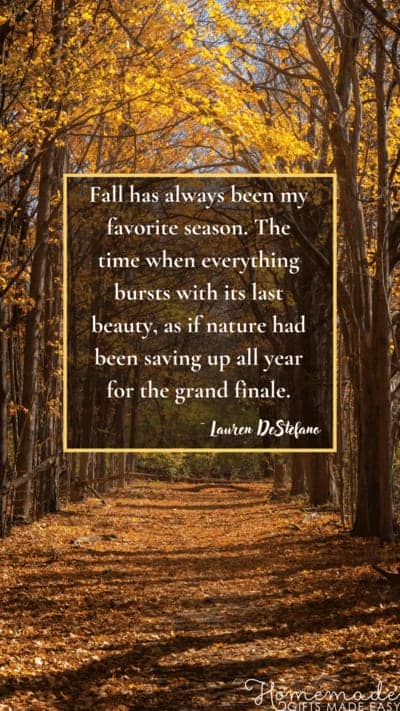 Fall Aesthetic Wallpaper Lauren Destefano Quote