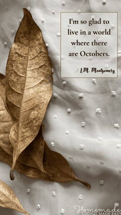 Fall Aesthetic Wallpaper Montgomery Quote