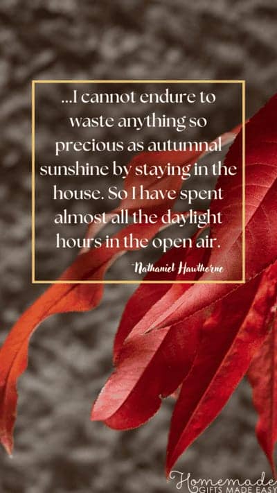 Fall Aesthetic Wallpaper Nathaniel Hawthorne Quote