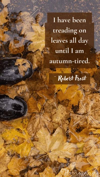 Fall Aesthetic Wallpaper Robert Frost Quote