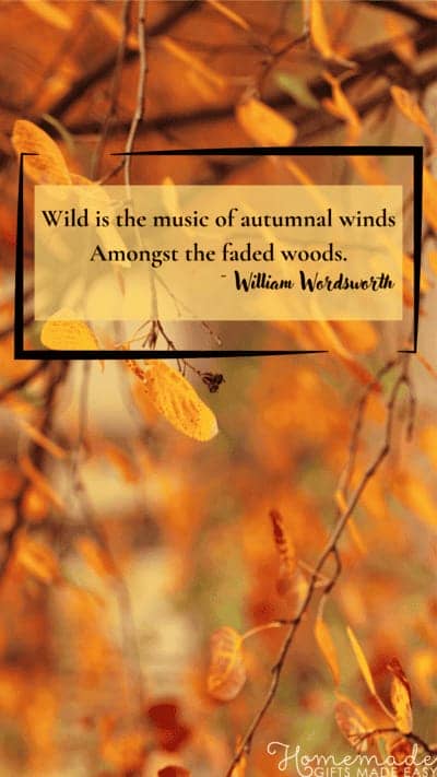 Fall Aesthetic Wallpaper Wordsworth Quote