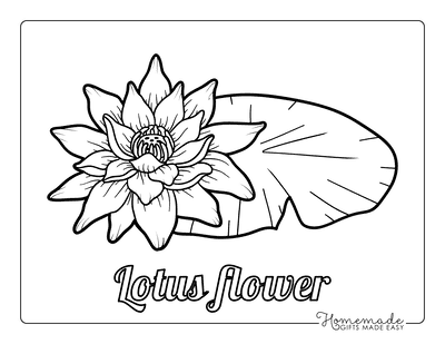 Flower Coloring Pages Botanical Lotus