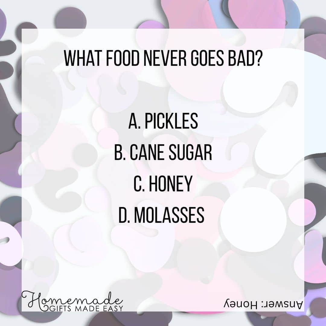 Actually Funny Jokes and Trivia Questions