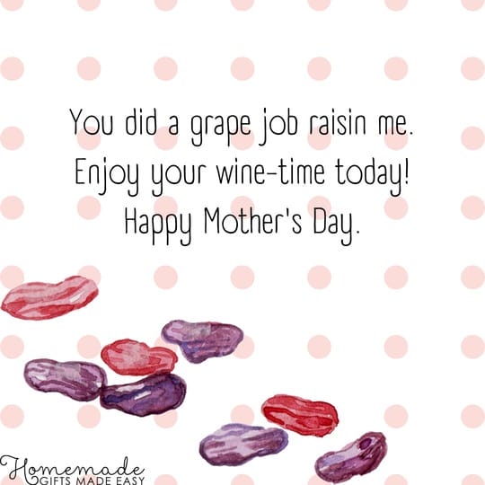happy mothers day you did a grape job raisin me