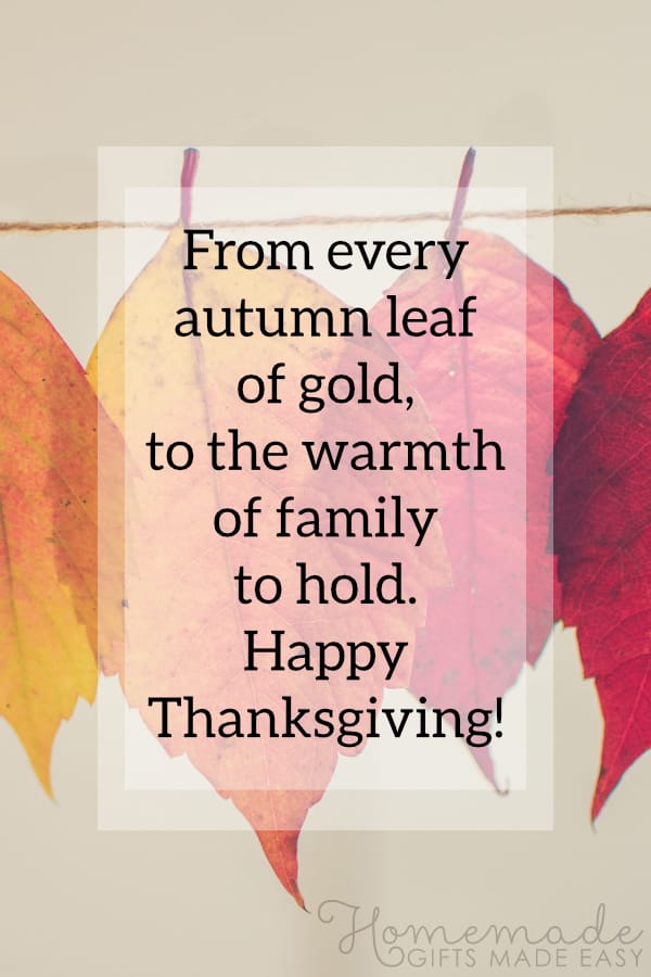 happy thanksgiving image fall leaves warmth family