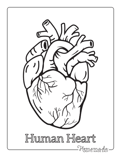human heart drawings with color