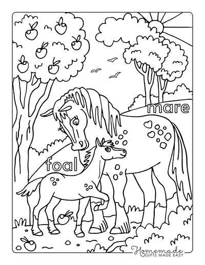 Easy How to Draw a Horse Tutorial Video and Horse Coloring Page