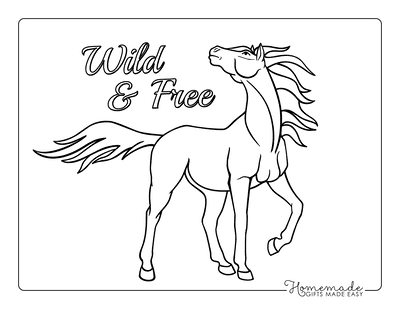 Horse Coloring Pages Majestic Outline