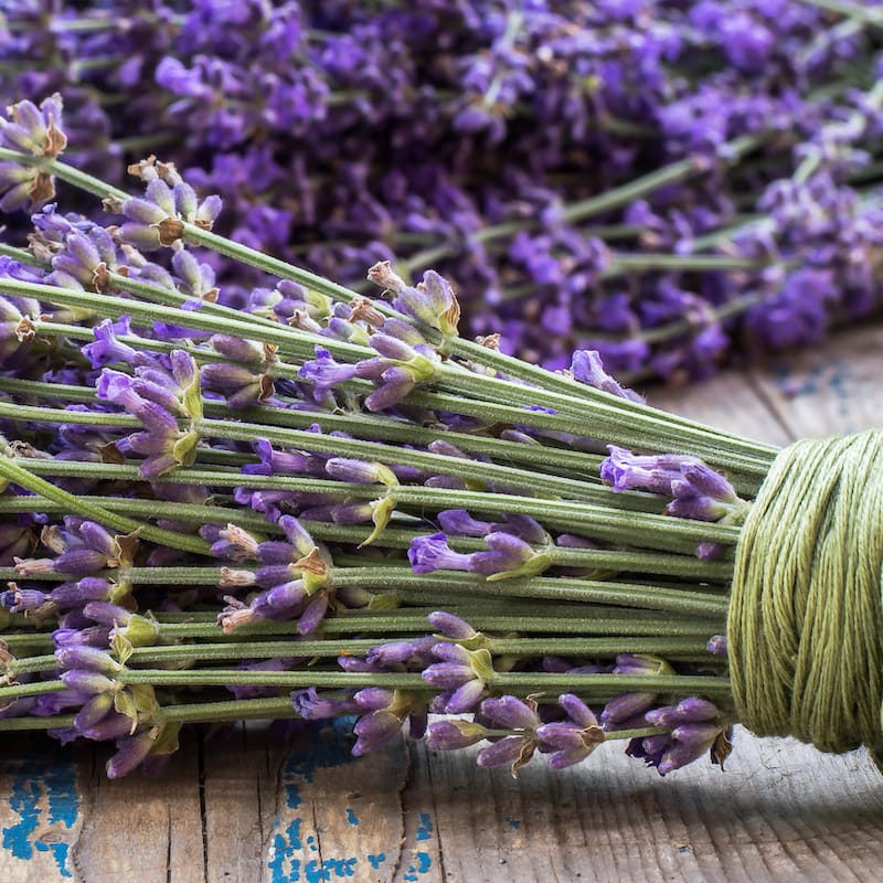 How To Dry Lavender In Different Ways