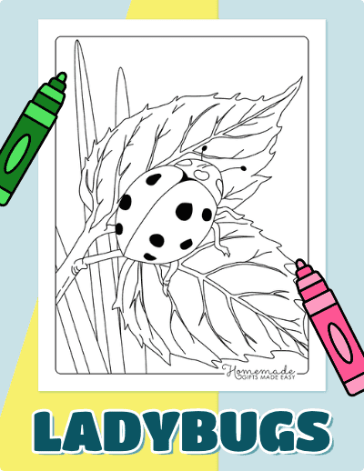 Ladybug Coloring Pages