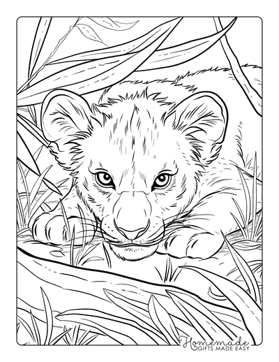 Lion Coloring Pages Realistic Lion Cub Prowling in Underbrush