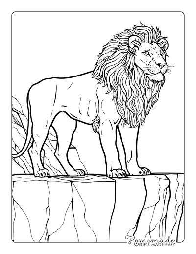 Lion Coloring Pages Realistic Lion Standing on Cliff