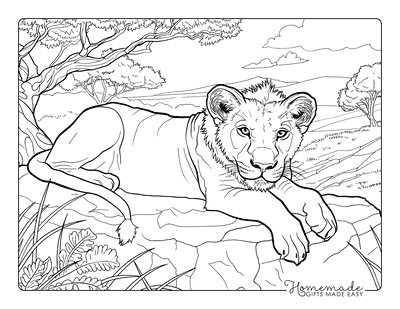 Lion Coloring Pages Realistic Lioness Resting on Rock in Savanna