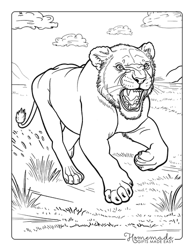 Lion Coloring Pages Realistic Lioness Running in the Open