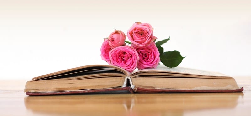 love poems for wife beautiful pink roses on an open book