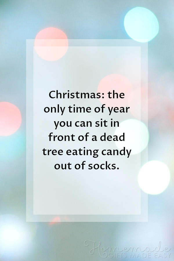 christmas card quotes funny