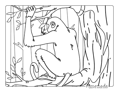 Monkey Coloring Pages Simple Cute Chimpanzee Grumpy Monkey in Tree Realistic