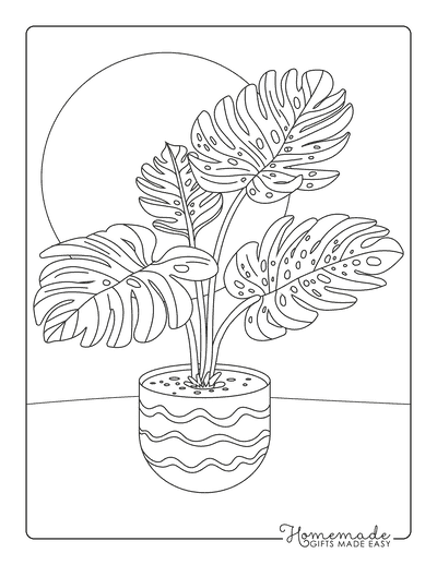Plant Coloring Pages Cute Monstera Aethestic Outline for Adults