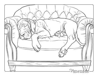 Puppy Coloring Pages Great Dane Napping Couch